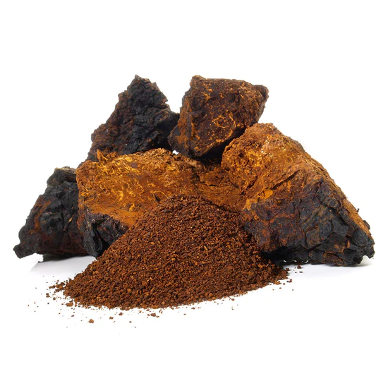 Stay-Wyld-Organics-Chaga-Mushroom-Capsules-Powder-1.webp