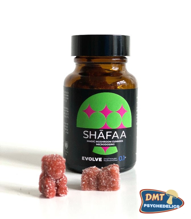 Shafaa-Evolve-Magic-Mushroom-Microdosing-Gummy-Bears-1.jpg