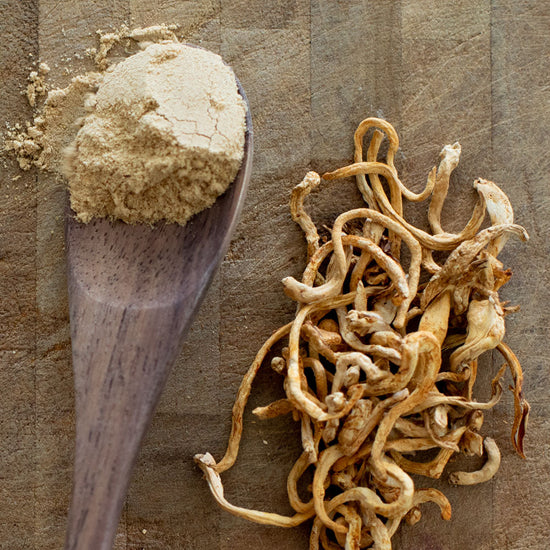 Stay-Wyld-Organics-Cordyceps-Powder-Ingredients.jpg