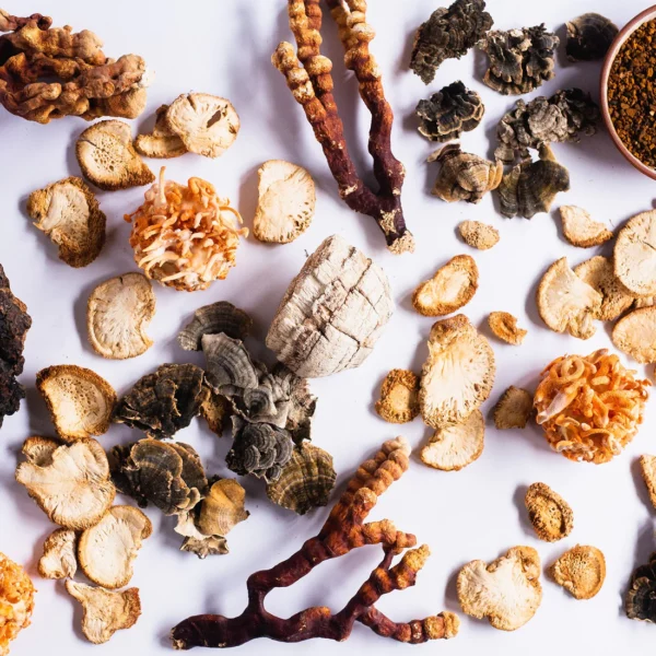 Stay-Wyld-Organics-Daily-Immunity-5-Blend-Powder-Ingredients-600x600-1.webp