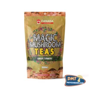 Canada Mushrooms Shroom Tea | 1000MG | Ginger Turmeric