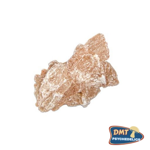 mdma-champ-510x510-1.jpg