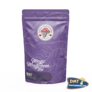 Mint Tea | 3000mg | Magic Mushrooms Canada