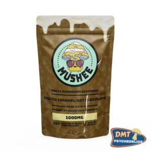 Magic Mushroom Salted Caramel Hot Chocolate Drink Mix – 1000MG – Mushee